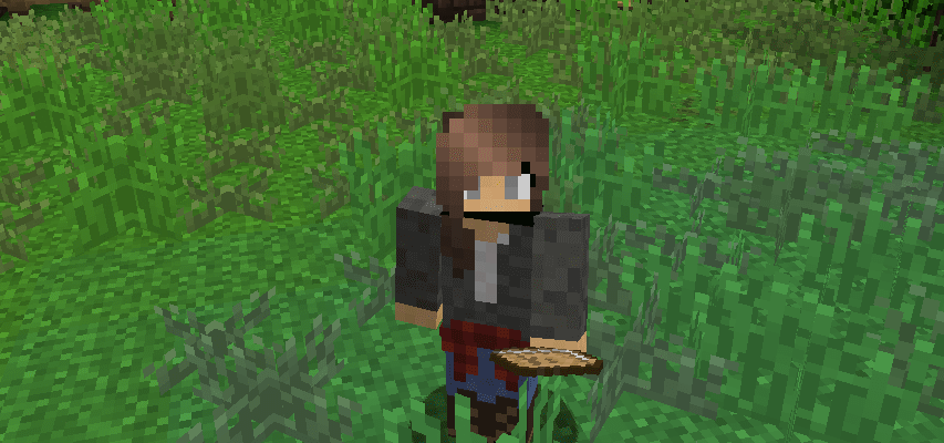 A Minecraft avatar standing in a field of grass.