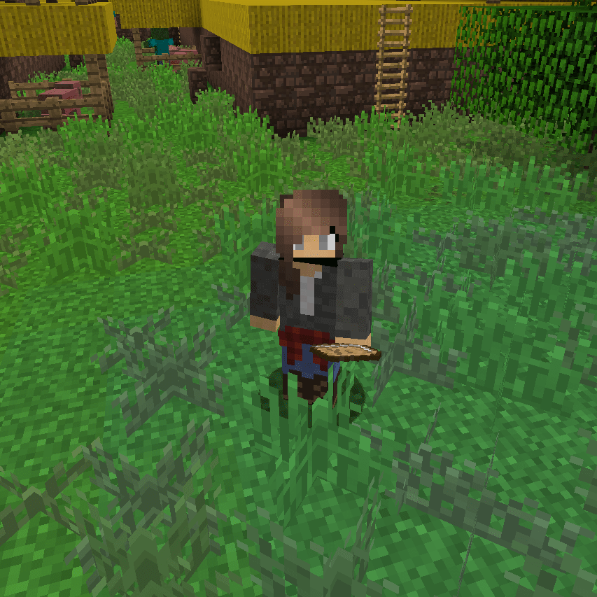 A Minecraft avatar standing in a field of grass.
